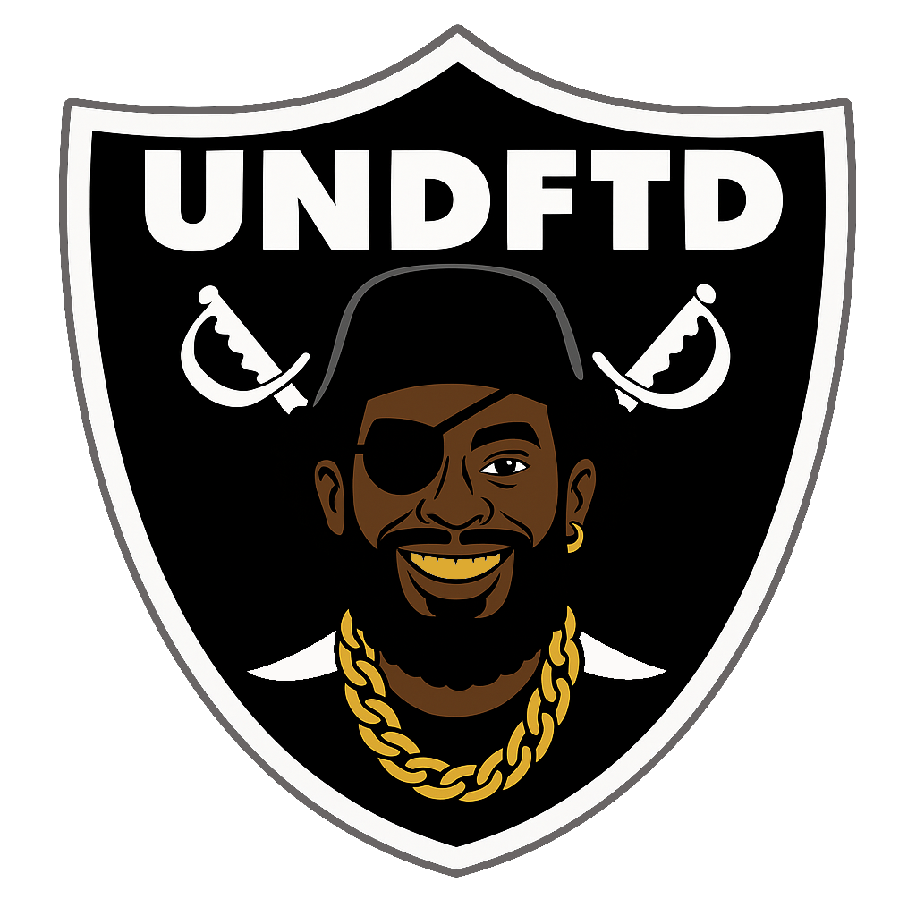 RAID 'EM HOODIE (STONE BLK)